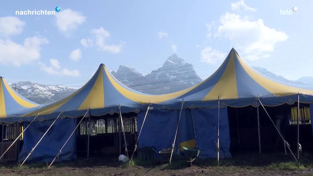 Reaktionen zum Zirkus-Asyl in Brunnen