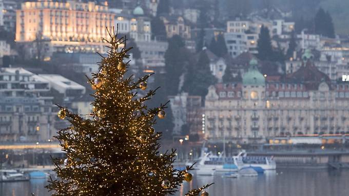 Christbaum im Windkanal kippt schneller als gedacht