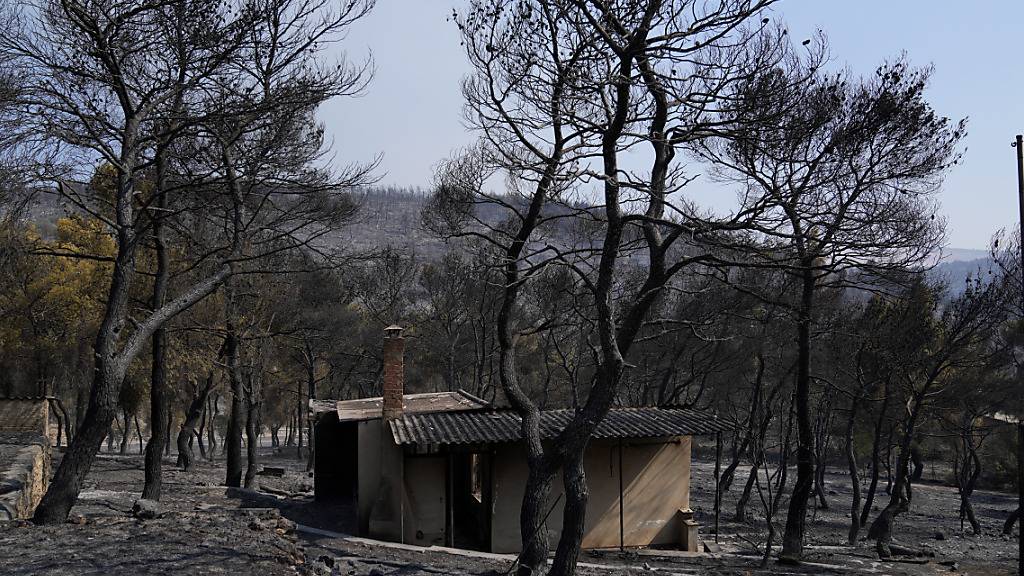 Ein ausgebranntes Haus und verbrannte Bäume nach einem Waldbrand in Mandra. Foto: Thanassis Stavrakis/AP/dpa