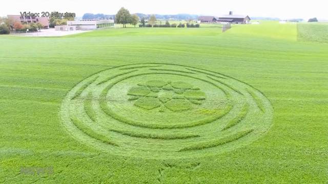 Graskreis lockt Übersinnlichen-Touristen