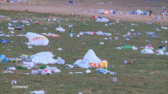 Street Parade: Abfallentsorgung ohne Hilfe der Stadt