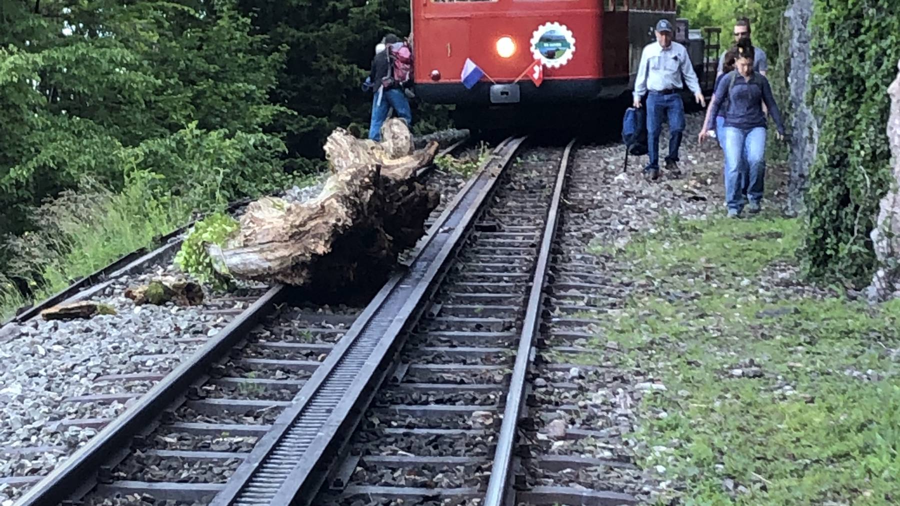 Zahnradbahn Vitznau - Rigi unterbrochen