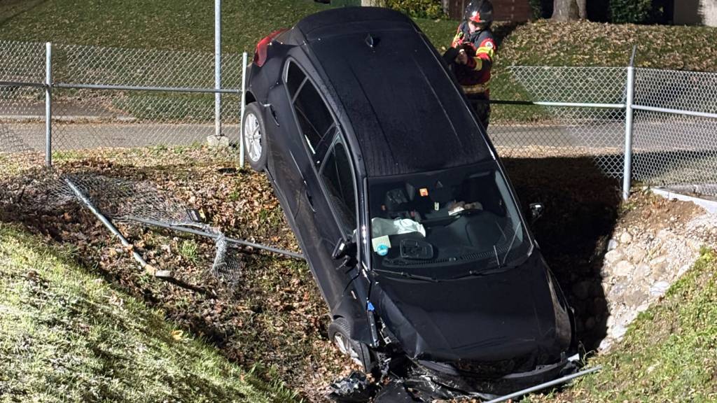 Der Autofahrer verletzte sich beim Unfall leicht.