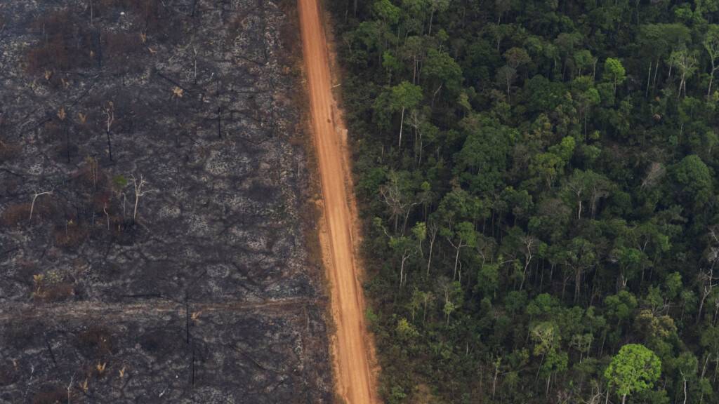 Bei den betrachteten Lebenszeichen geht es um Aspekte wie CO2-Emissionen, Verbrauch von Kohle, Öl und Gas, Meerestemperaturen oder dem Waldverlust durch Brände. (Archivbild)