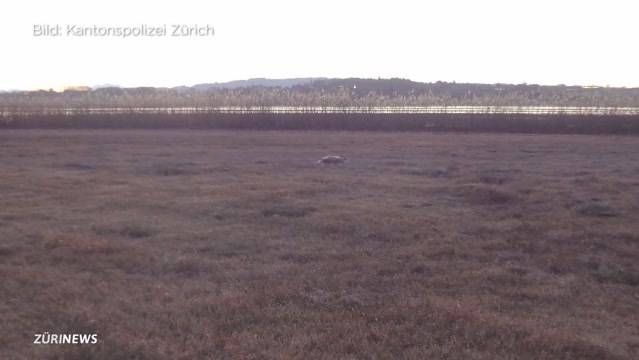 Alle Regeln der Jagd gebrochen