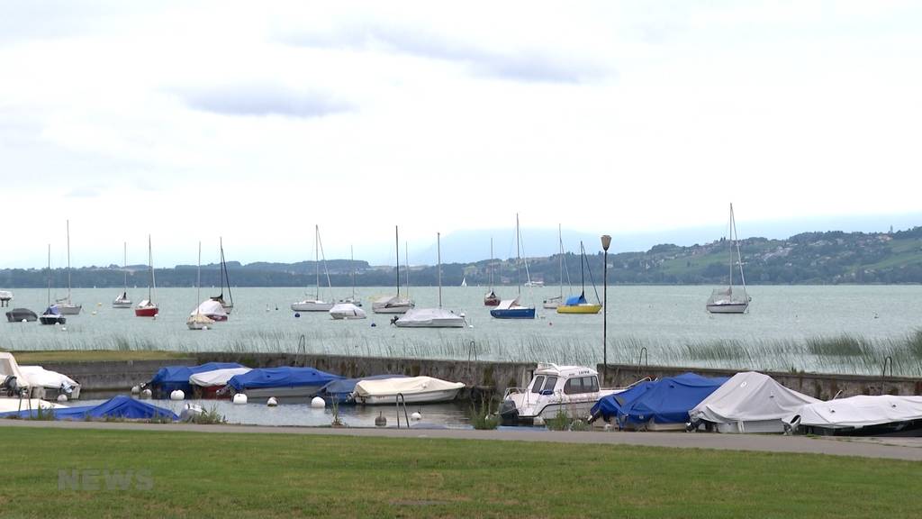 Gefährlich für Mensch und Tier: Am Murtensee macht man sich Gedanken wegen giftigen Blaualgen