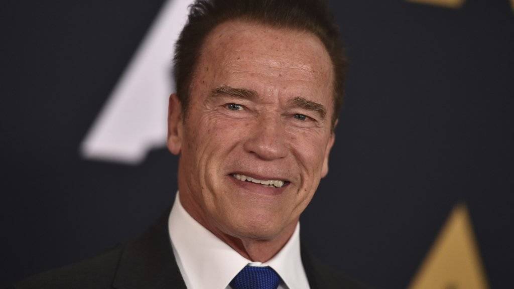 Arnold Schwarzenegger bleibt auch nach seiner Zeit als kalifornische Gouverneur politisch aktiv. Nach Washington zieht es ihn aber vorläufig nicht.