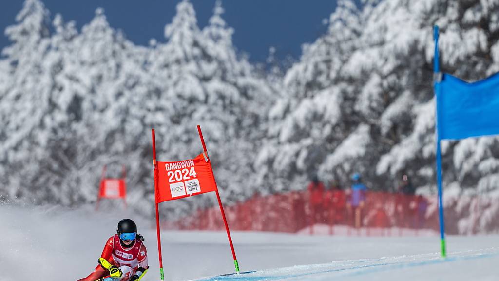 Fabienne Wenger, hier im Riesenslalom an den Olympischen Jugend-Winterspielen in Südkorea, kann Speed und Technik