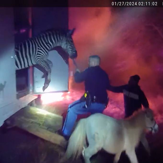 Zirkuslastwagen steht in Flammen – Tiere gerettet