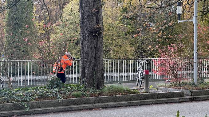 Fussgänger stösst Velofahrer in Zürich um – 67-Jähriger festgenommen