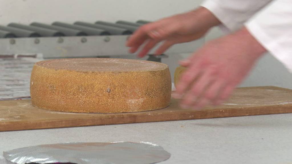 Zweitbester Käse der Welt: Toggenburger Käser erhält spezielle Auszeichnung