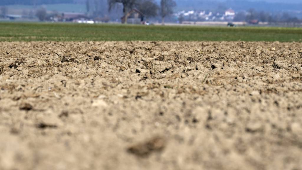 Extreme, langanhaltende Dürren bringen Ökosysteme aus dem Gleichgewicht. (Archivbild)