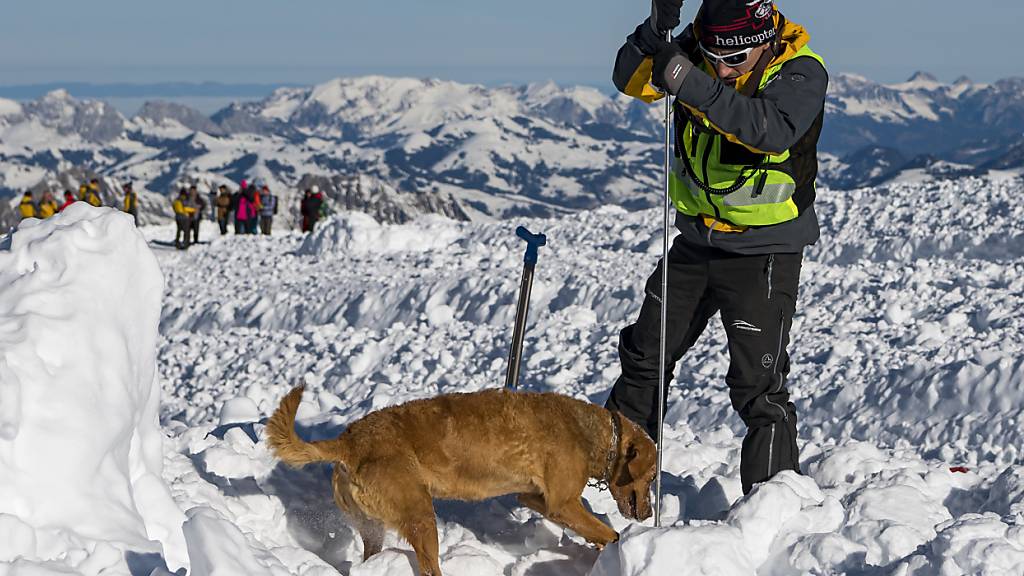Lawinen-Rettungskräfte und ein Suchhund im Wettlauf mit der Zeit. (Archivbild)
