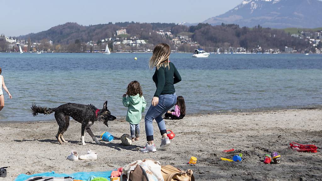 Der Seezugang in der Luzerner Ufschötti soll barrierefrei werden. (Archivbild)