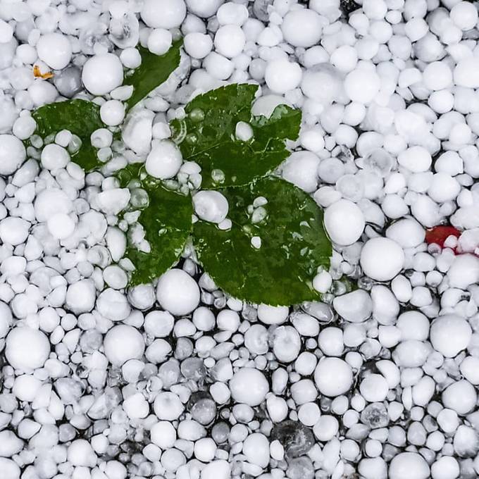 Berner Gebäudeversicherung profitiert von Wetterglück