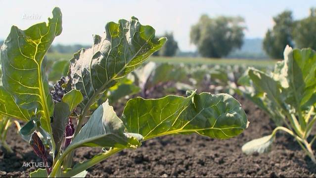 Drohende Flut neuer Landwirtschafts-Vorschriften verunsichert sogar Bio-Bauern