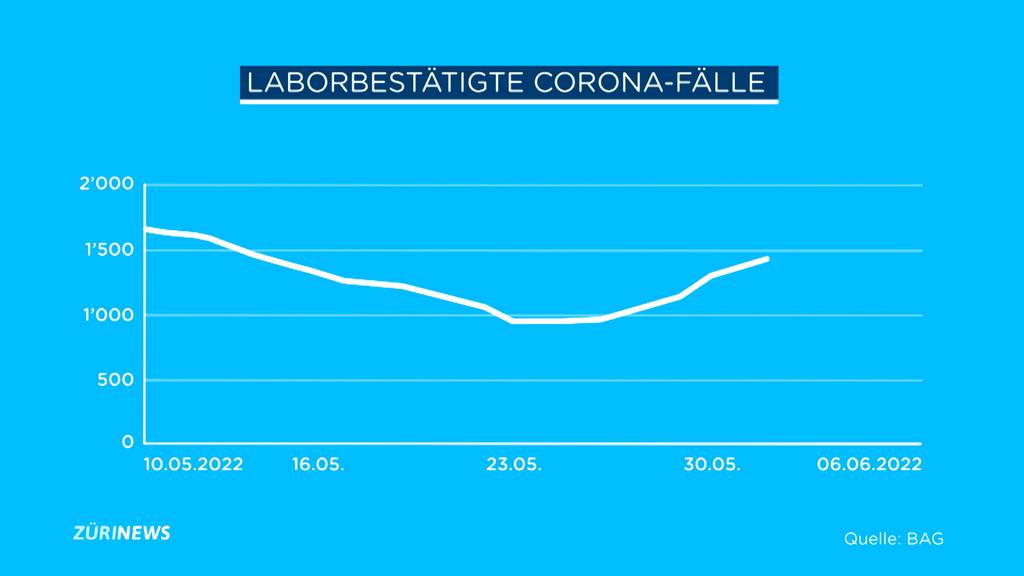 Corona Zahlen steigen auf den Sommer hin