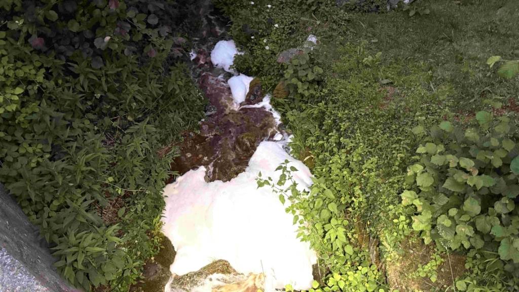 Gemäss bisherigen Erkenntnissen gelangte das Schmutzwasser im Rahmen von Reinigungsarbeiten in einem Betrieb in die Meteorwasserkanalisation.