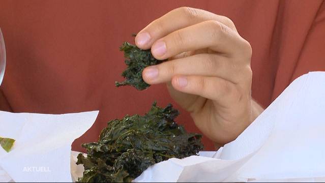 Abstimmungen: Fair-Food- und Ernährungssouveränitäts-Initiative werden abgelehnt