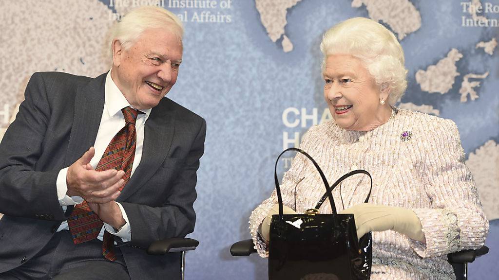 Der Naturfilmer David Attenborough erhielt von der Queen den Chatham House Prize für die Serie «Blue Planet II» über die Vermüllung der Ozeane.