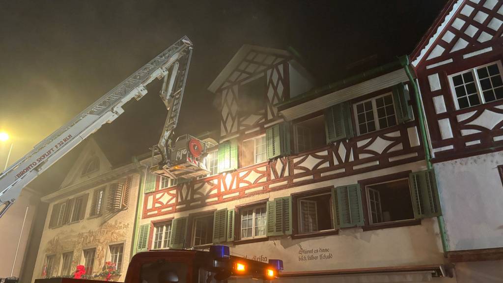 Drei Personen bei Brand in Steckborn TG verletzt