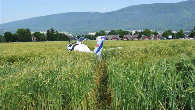 Swissnews