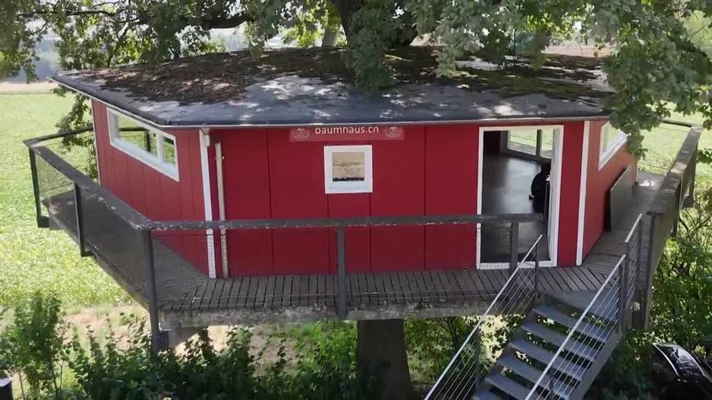 Spezialtournee: Baschi gibt Konzert bei einem Baumhaus