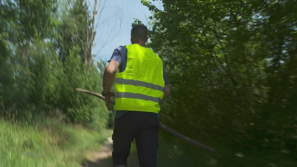 Hunderte suchen nach vermisstem Fünfjährigen in der Reuss