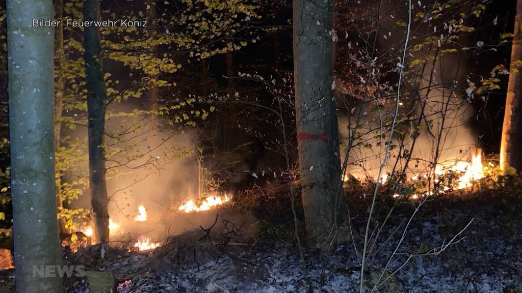  Waldbrandgefahr im Kanton Bern