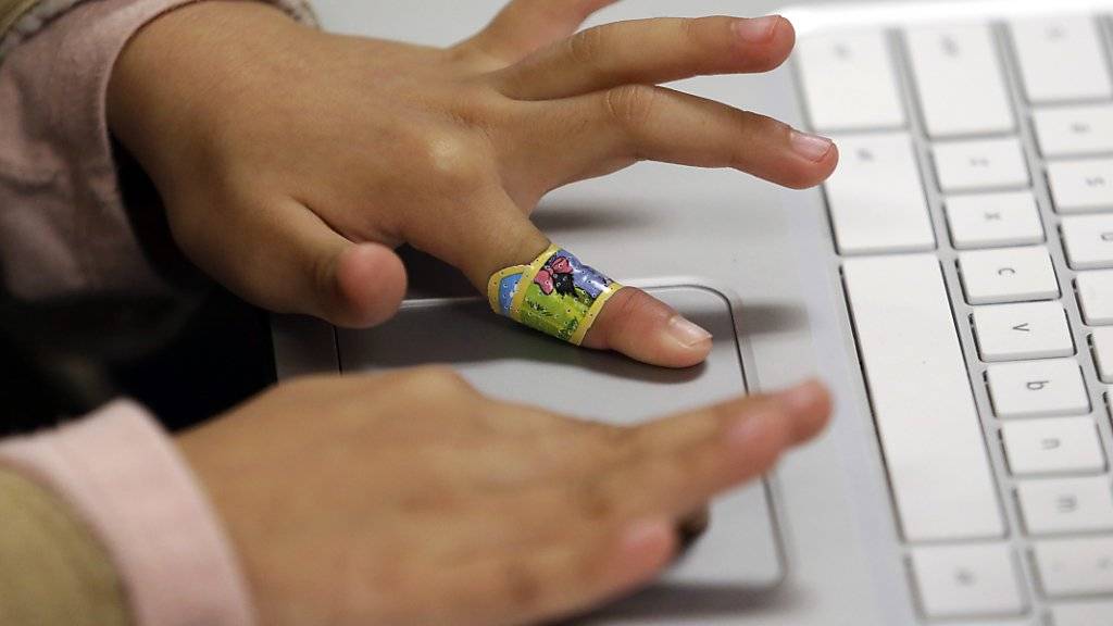 Kinderhände an der Tastatur: Fachleute plädieren dafür, in der Schule spielerisch Grundlagen in Informatik zu vermitteln.