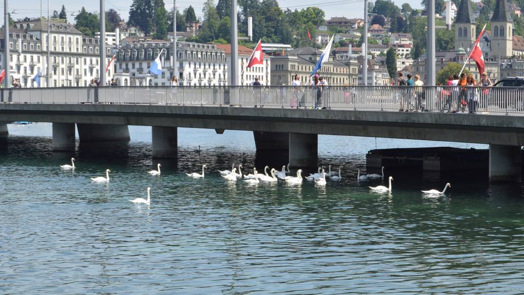 Der Verkehr in der Stadt Luzern nimmt ab