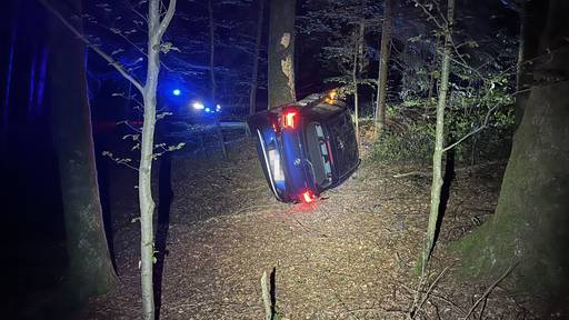 19-jährige BMW-Fahrerin landet im Wald und kracht in einen Baum