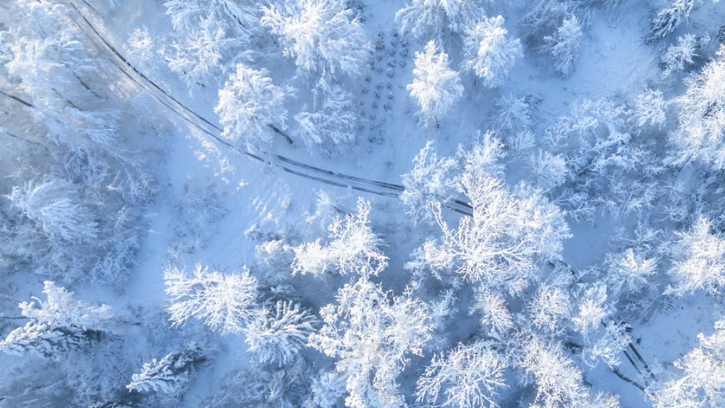 Mit Satellitenbildern und Künstlicher Intelligenz können Forschende die Schneehöhe genau und schnell bestimmen. (Symbolbild)