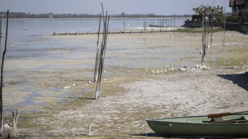 Anfang April lagen Boote am Untersee - hier in Ermatingen TG - aufgrund des tiefen Pegels auf dem Trockenen.