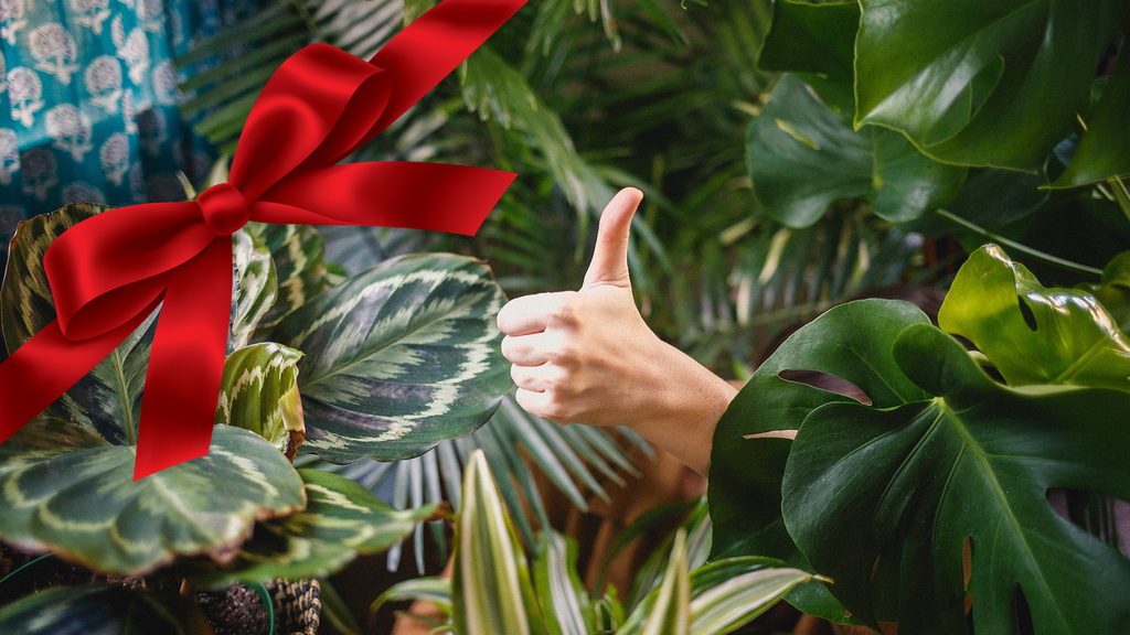 Entdeckt Geschenk-Ideen für gutes Karma 