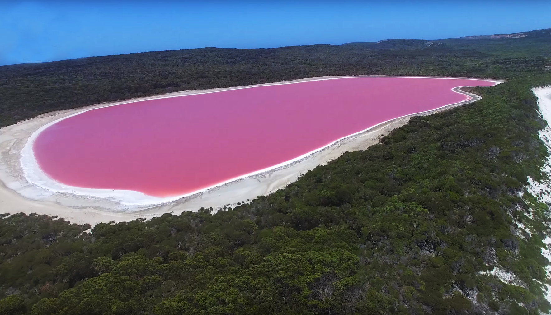 2017-10-04 08_42_51-Pink _Lake Hillier_, Middle Island with Esperance Island Cruises - YouTube