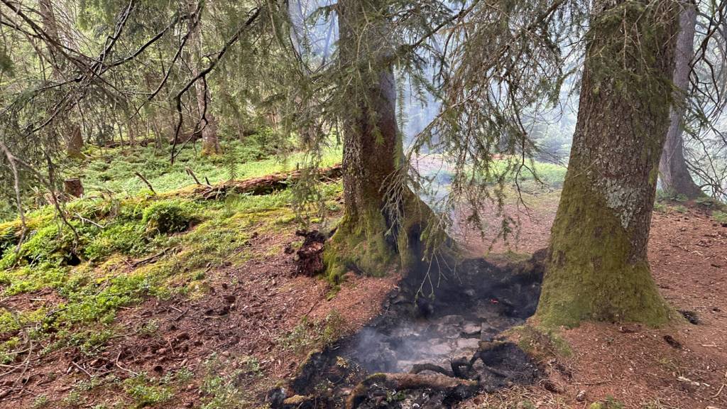 Der Flächenbrand im Wald im Gebiet Schwarzenegg in Innerthal SZ entstand mutmasslich wegen einem Blitzschlag.
