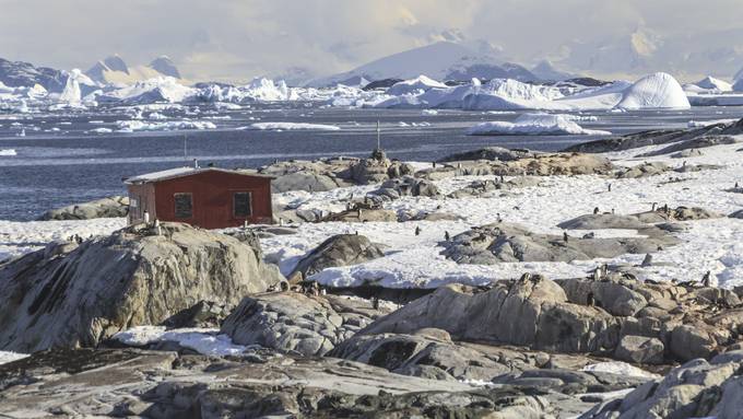 Postamt leiten und Pingus zählen: In der Antarktis ist ein Job frei