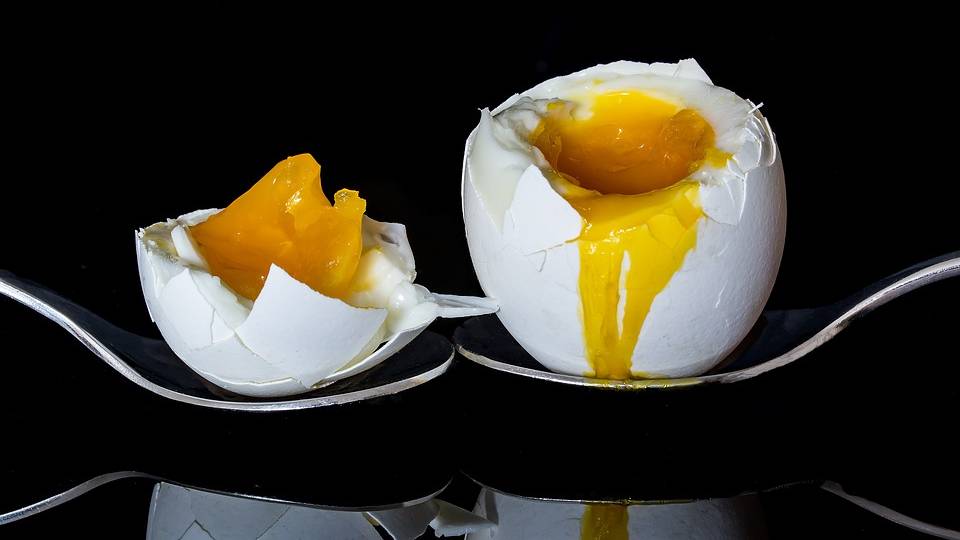 The perfect egg timer App Upload 24