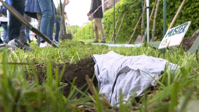 Für Forschungsprojekt: Sarmenstorfer verbuddeln ihre Unterhosen