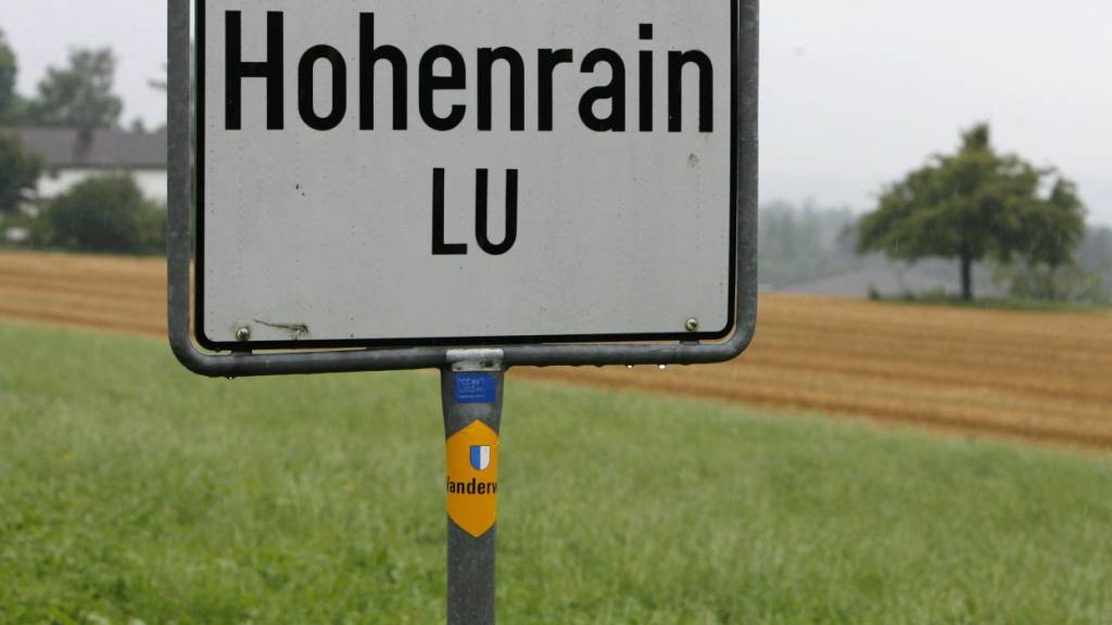 Der neue Gemeindepräsident von Hohenrain LU heisst Domenico Casu