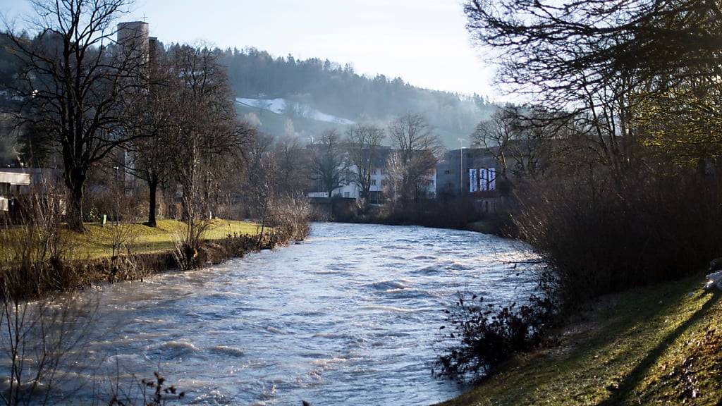 Das Flussbett der Thur soll bei Wattwil verbreitert werden. Ziel ist eine Verbesserung der Hochwassersicherheit. (Archivbild)