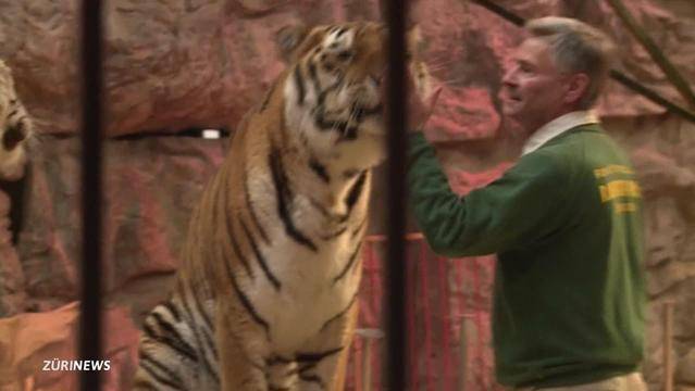 So sieht das neue Zuhause von Stricklers Raubtierkatzen aus