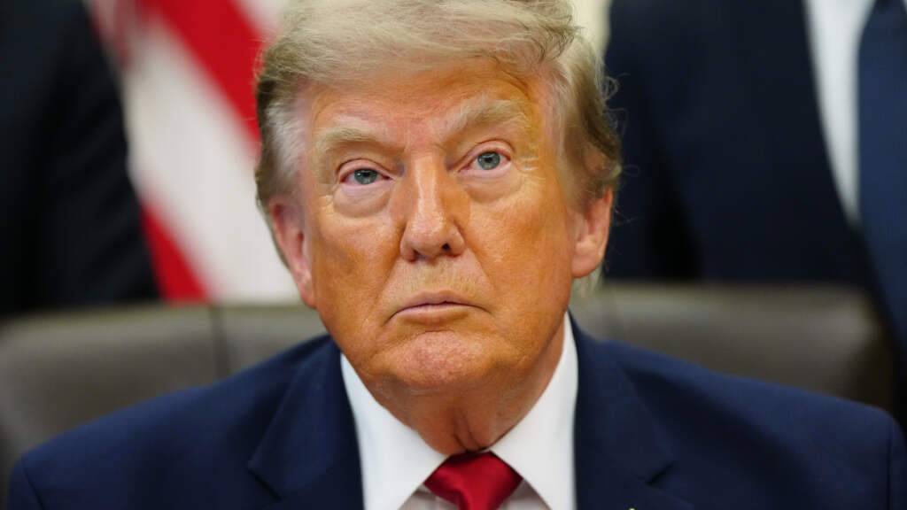 US-Präsident Donald Trump spricht in Washington im Oval Office des Weißen Hauses. Foto: Julia Demaree Nikhinson/AP/dpa