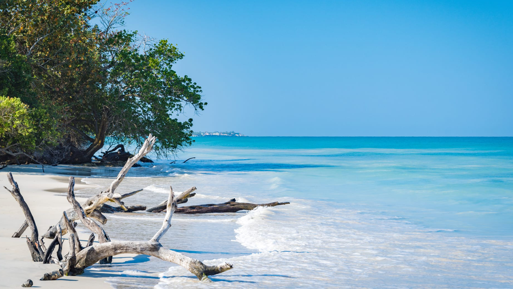 Strand Negril Seven-Mile-Beach Jamaika