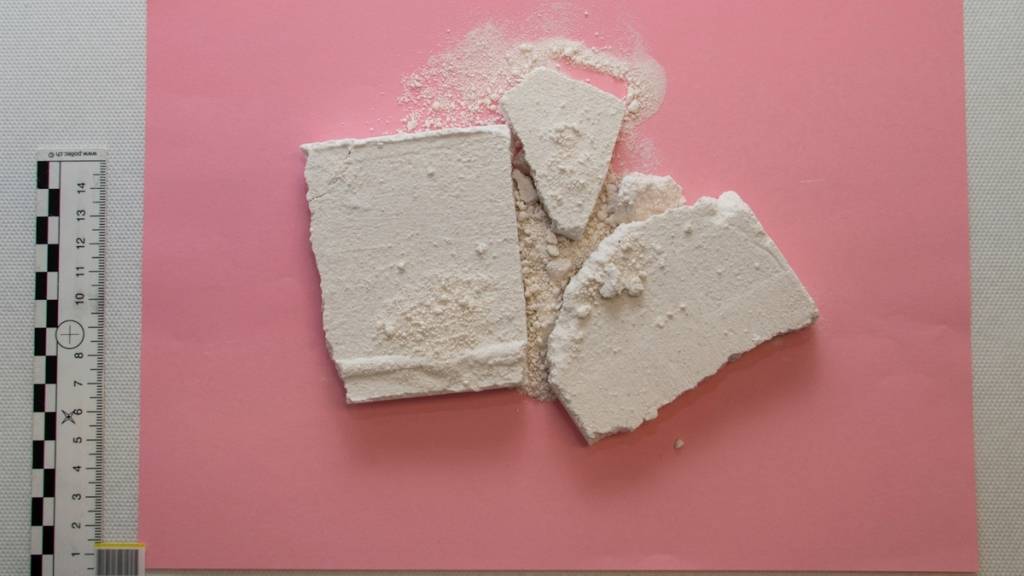 Diese 400 Gramm Kokain haben einen Wert von rund 40'000 Franken.