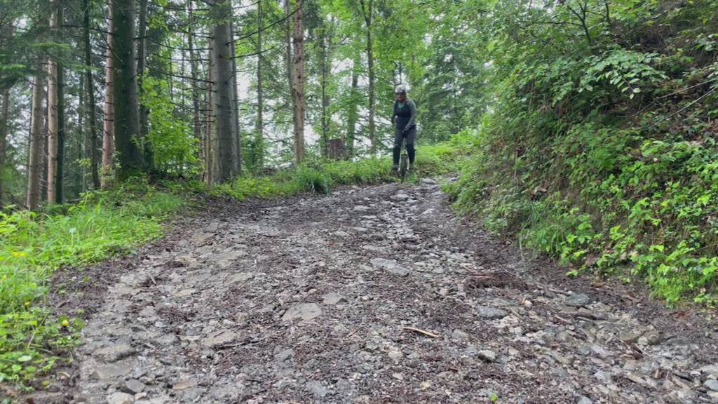 Vorschau «Herzblut»