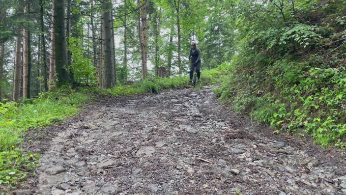 Vorschau «Herzblut»
