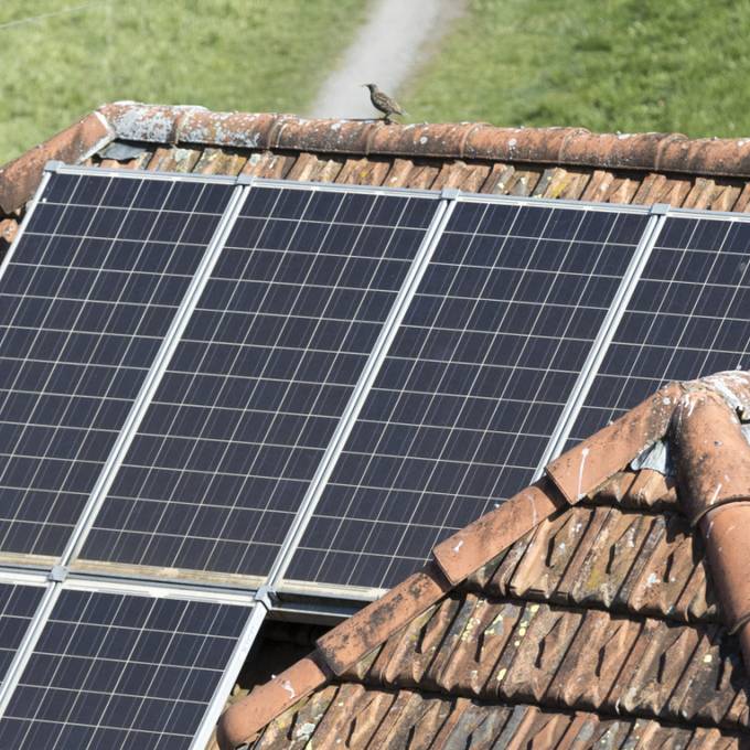 Für 250 Franken kriegst du in Zürich einen virtuellen Quadratmeter Solarenergie