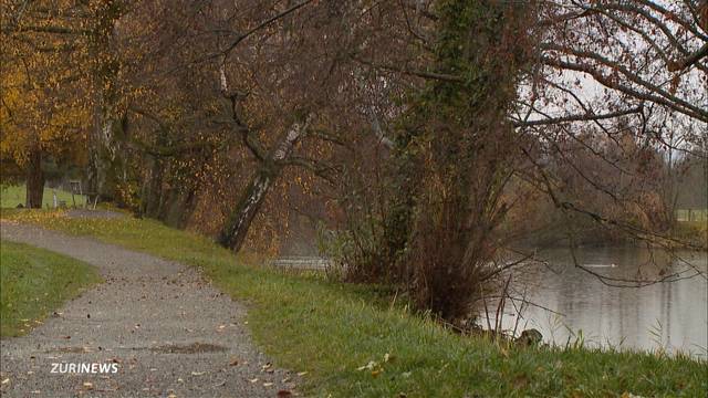 Küsnacht (ZH): Leichenfund im Schübelweiher